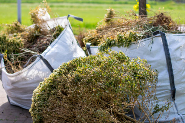 Best Carpet Removal and Disposal  in St Petersburg, FL