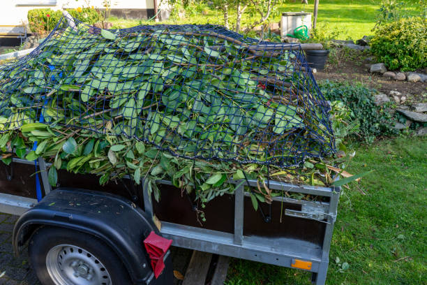 Best Commercial Junk Removal  in St Petersburg, FL